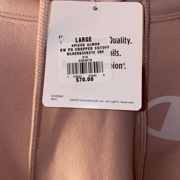 Cropped Champion Hoodie - Picture 4 of 5